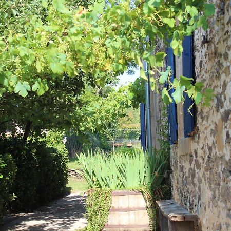 La Maison Cayre Bed & Breakfast Mirandol-Bourgnounac Exterior photo