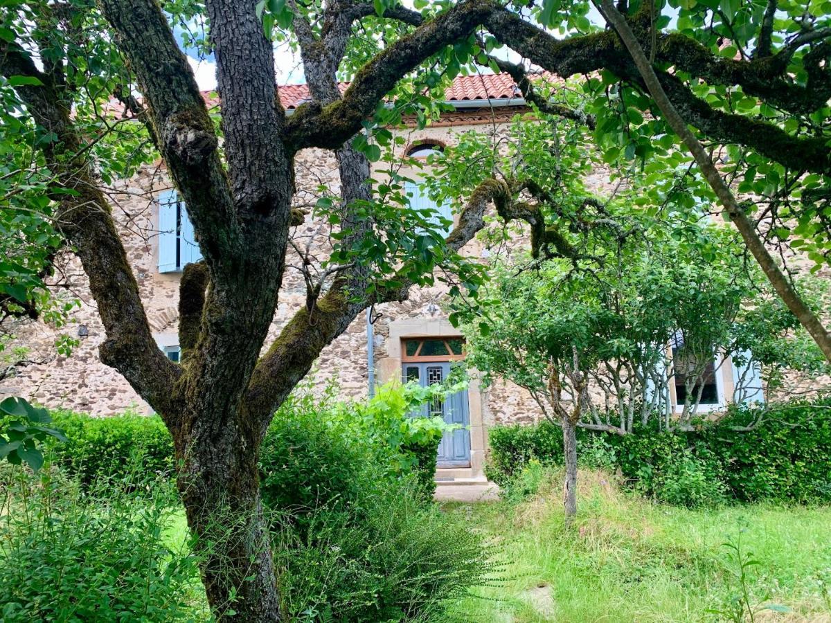 La Maison Cayre Bed & Breakfast Mirandol-Bourgnounac Exterior photo