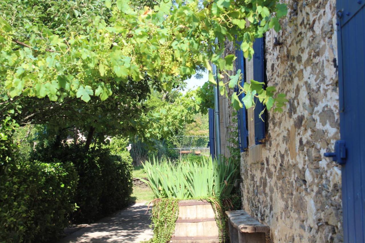 La Maison Cayre Bed & Breakfast Mirandol-Bourgnounac Exterior photo